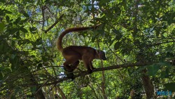 Ampangorinana Nosy Komba Andoany Nosy Be 23.11.24 Katamarane und Traumstrände auf Mauritius Seychellen Madagaskar AIDAblu 023