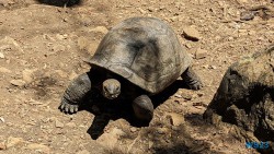 Ampangorinana Nosy Komba Andoany Nosy Be 23.11.24 Katamarane und Traumstrände auf Mauritius Seychellen Madagaskar AIDAblu 025