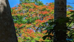 Ampangorinana Nosy Komba Andoany Nosy Be 23.11.24 Katamarane und Traumstrände auf Mauritius Seychellen Madagaskar AIDAblu 027