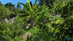 Ampangorinana Nosy Komba Andoany Nosy Be 23.11.24 Katamarane und Traumstrände auf Mauritius Seychellen Madagaskar AIDAblu 028
