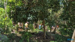Ampangorinana Nosy Komba Andoany Nosy Be 23.11.24 Katamarane und Traumstrände auf Mauritius Seychellen Madagaskar AIDAblu 030