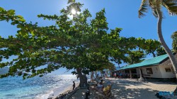 Nosy Vorona Andoany Nosy Be 23.11.24 Katamarane und Traumstrände auf Mauritius Seychellen Madagaskar AIDAblu 046