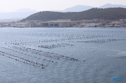 Olbia Sardinien 17.07.22 - Italien, Spanien und tolle Mittelmeerinseln AIDAstella