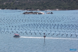 Olbia Sardinien 16.07.28 - Die kleinen Perlen des Mittelmeers AIDAstella