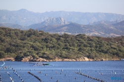 Olbia Sardinien 16.07.28 - Die kleinen Perlen des Mittelmeers AIDAstella