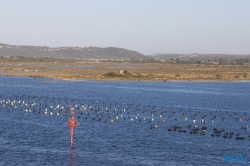 Olbia Sardinien 16.07.28 - Die kleinen Perlen des Mittelmeers AIDAstella