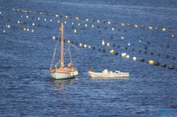 Olbia Sardinien 16.07.28 - Die kleinen Perlen des Mittelmeers AIDAstella