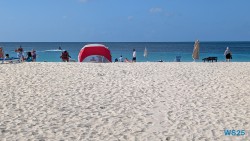 Eagle Beach Oranjestad 25.12.06 Baden und Schnorcheln im kristallklaren Meer AIDAperla 009