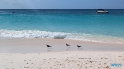 Eagle Beach Oranjestad 25.12.06 Baden und Schnorcheln im kristallklaren Meer AIDAperla 012