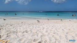 Eagle Beach Oranjestad 25.12.06 Baden und Schnorcheln im kristallklaren Meer AIDAperla 014