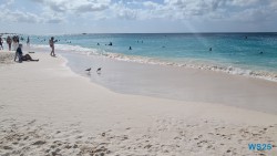 Eagle Beach Oranjestad 25.12.06 Baden und Schnorcheln im kristallklaren Meer AIDAperla 017