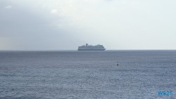 Koningsdam Oranjestad 25.12.06 Baden und Schnorcheln im kristallklaren Meer AIDAperla 026