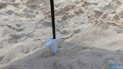 Eagle Beach Oranjestad 24.11.23 Zu Fuß mit Taxi Fähre Boot Bus zu karibischen Stränden AIDAperla 003