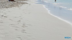 Eagle Beach Oranjestad 24.11.23 Zu Fuß mit Taxi Fähre Boot Bus zu karibischen Stränden AIDAperla 007