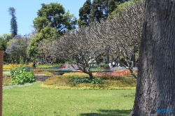 Parque de Santa Catarina Funchal Madeira 14.04.16 - Karibik nach Mallorca AIDAbella Transatlantik