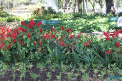 Parque de Santa Catarina Funchal Madeira 14.04.16 - Karibik nach Mallorca AIDAbella Transatlantik