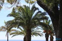 Parque de Santa Catarina Funchal Madeira 14.04.16 - Karibik nach Mallorca AIDAbella Transatlantik