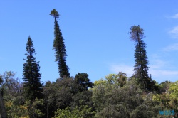 Parque de Santa Catarina Funchal Madeira 14.04.16 - Karibik nach Mallorca AIDAbella Transatlantik