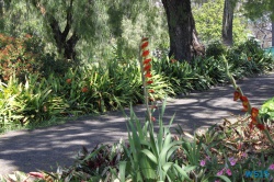 Parque de Santa Catarina Funchal Madeira 14.04.16 - Karibik nach Mallorca AIDAbella Transatlantik