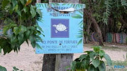 Petite Anse Pointe À Pitre 25.12.15 Baden und Schnorcheln im kristallklaren Meer AIDAperla 007