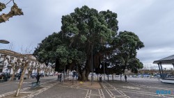 Campo de São Francisco Ponta Delgada 24.03.05 Traumhafte Strände und Wale in Mittelamerika und Karibik AIDAluna 078