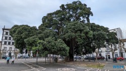 Campo de São Francisco Ponta Delgada 24.03.05 Traumhafte Strände und Wale in Mittelamerika und Karibik AIDAluna 080