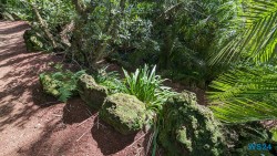 Jardim Botânico António Borges Ponta Delgada 24.03.05 Traumhafte Strände und Wale in Mittelamerika und Karibik AIDAluna 044