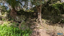 Jardim Botânico António Borges Ponta Delgada 24.03.05 Traumhafte Strände und Wale in Mittelamerika und Karibik AIDAluna 053