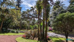 Jardim Botânico António Borges Ponta Delgada 24.03.05 Traumhafte Strände und Wale in Mittelamerika und Karibik AIDAluna 054