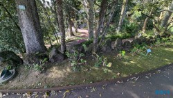 Jardim Botânico António Borges Ponta Delgada 24.03.05 Traumhafte Strände und Wale in Mittelamerika und Karibik AIDAluna 060