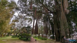 Jardim Botânico António Borges Ponta Delgada 24.03.05 Traumhafte Strände und Wale in Mittelamerika und Karibik AIDAluna 067
