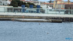 Piscinas do Pesqueiro Ponta Delgada 24.03.05 Traumhafte Strände und Wale in Mittelamerika und Karibik AIDAluna 020