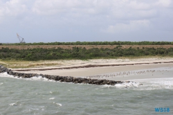 Port Canaveral 18.10.08 - Big Apple, weißer Strand am türkisen Meer, riesiger Sumpf AIDAluna