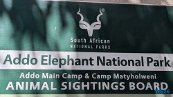 Addo Elephant National Park Port Elizabeth 26.02.06 Südafrika zwischen Faszination und Kriminalität AIDAstella 002