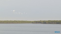 Port Klang 25.05.07 Begeistert zum ersten Mal in Südostasien AIDAstella 002