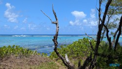 Ȋle Des Deux Cocos Port Louis 26.02.16 Südafrika zwischen Faszination und Kriminalität AIDAstella 024