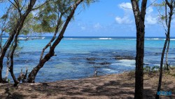 Ȋle Des Deux Cocos Port Louis 26.02.16 Südafrika zwischen Faszination und Kriminalität AIDAstella 026