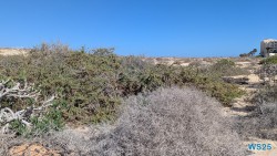 Parque Natural de Corralejo Puerto Del Rosario 25.02.13 Nach 10 Jahren wieder Kanaren um dem Winter zu entfliehen AIDAcosma 002