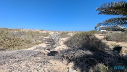 Parque Natural de Corralejo Puerto Del Rosario 25.02.13 Nach 10 Jahren wieder Kanaren um dem Winter zu entfliehen AIDAcosma 003