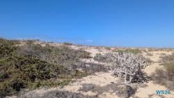 Parque Natural de Corralejo Puerto Del Rosario 25.02.13 Nach 10 Jahren wieder Kanaren um dem Winter zu entfliehen AIDAcosma 014