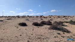 Parque Natural de Corralejo Puerto Del Rosario 25.02.13 Nach 10 Jahren wieder Kanaren um dem Winter zu entfliehen AIDAcosma 017