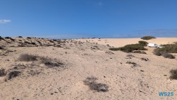 Parque Natural de Corralejo Puerto Del Rosario 25.02.13 Nach 10 Jahren wieder Kanaren um dem Winter zu entfliehen AIDAcosma 018