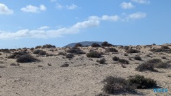 Parque Natural de Corralejo Puerto Del Rosario 25.02.13 Nach 10 Jahren wieder Kanaren um dem Winter zu entfliehen AIDAcosma 019