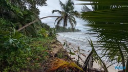 Cahuita Nationalpark Puerto Limón 24.02.20 Traumhafte Strände und Wale in Mittelamerika und Karibik AIDAluna 014