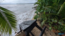 Cahuita Nationalpark Puerto Limón 24.02.20 Traumhafte Strände und Wale in Mittelamerika und Karibik AIDAluna 015