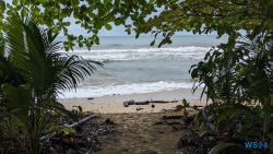 Cahuita Nationalpark Puerto Limón 24.02.20 Traumhafte Strände und Wale in Mittelamerika und Karibik AIDAluna 018