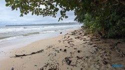 Cahuita Nationalpark Puerto Limón 24.02.20 Traumhafte Strände und Wale in Mittelamerika und Karibik AIDAluna 019