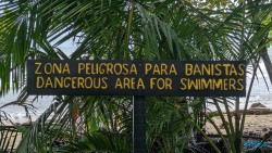 Cahuita Nationalpark Puerto Limón 24.02.20 Traumhafte Strände und Wale in Mittelamerika und Karibik AIDAluna 020