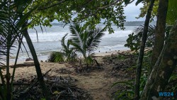 Cahuita Nationalpark Puerto Limón 24.02.20 Traumhafte Strände und Wale in Mittelamerika und Karibik AIDAluna 021