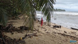 Cahuita Nationalpark Puerto Limón 24.02.20 Traumhafte Strände und Wale in Mittelamerika und Karibik AIDAluna 022